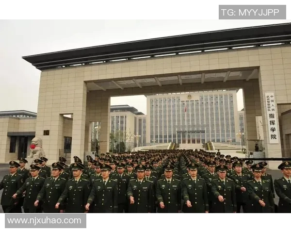 实时新闻深入分析北京飞盘队快攻战术的核心要素与实战应用